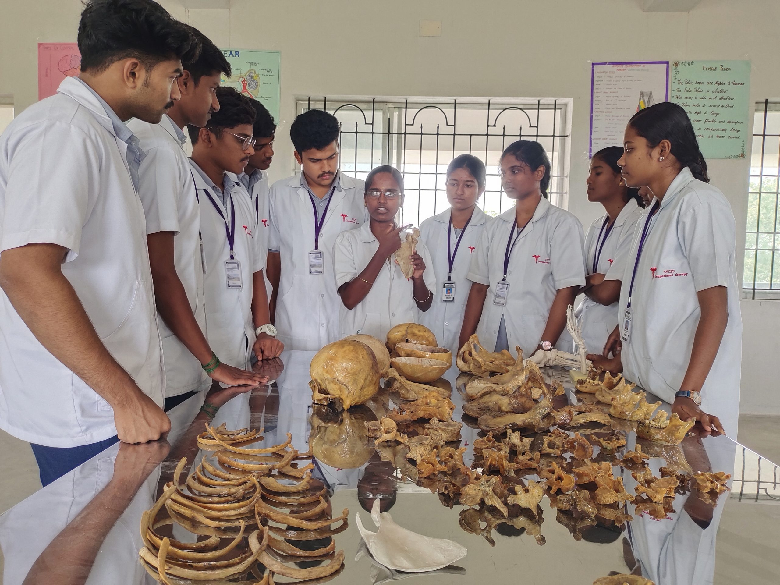 Anatomy Physiology Lab